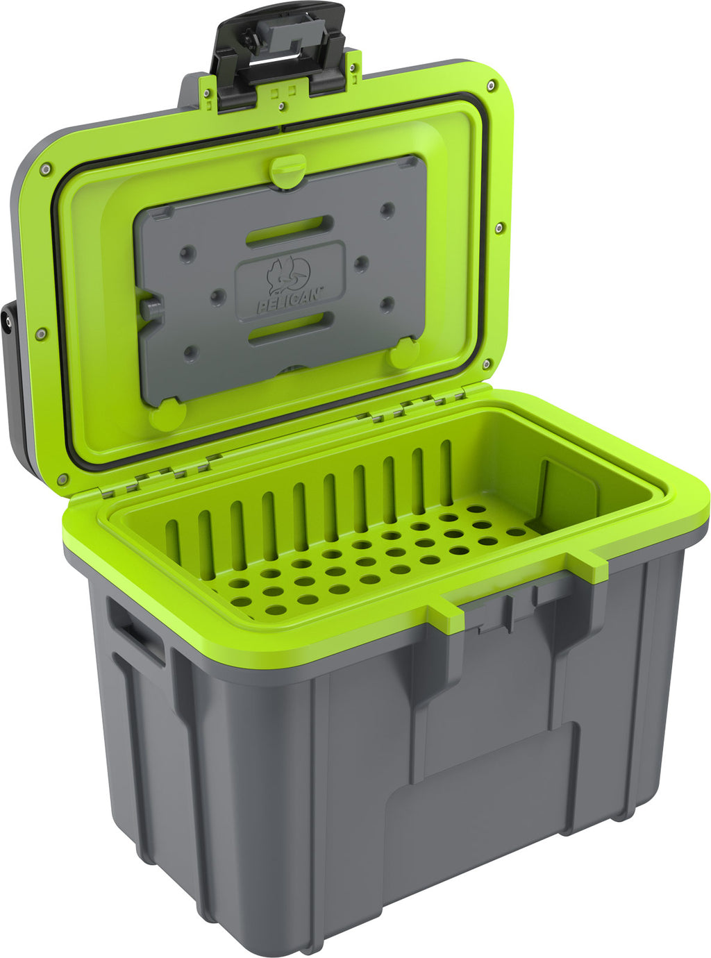 8QT Personal Cooler  - Dark Gray - Green