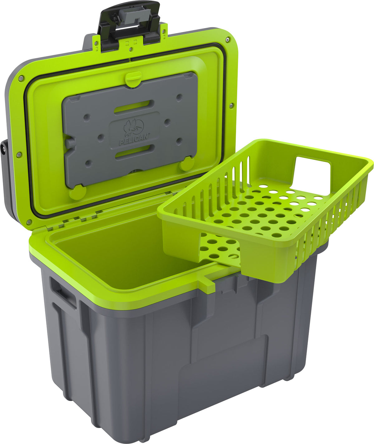 8QT Personal Cooler  - Dark Gray - Green
