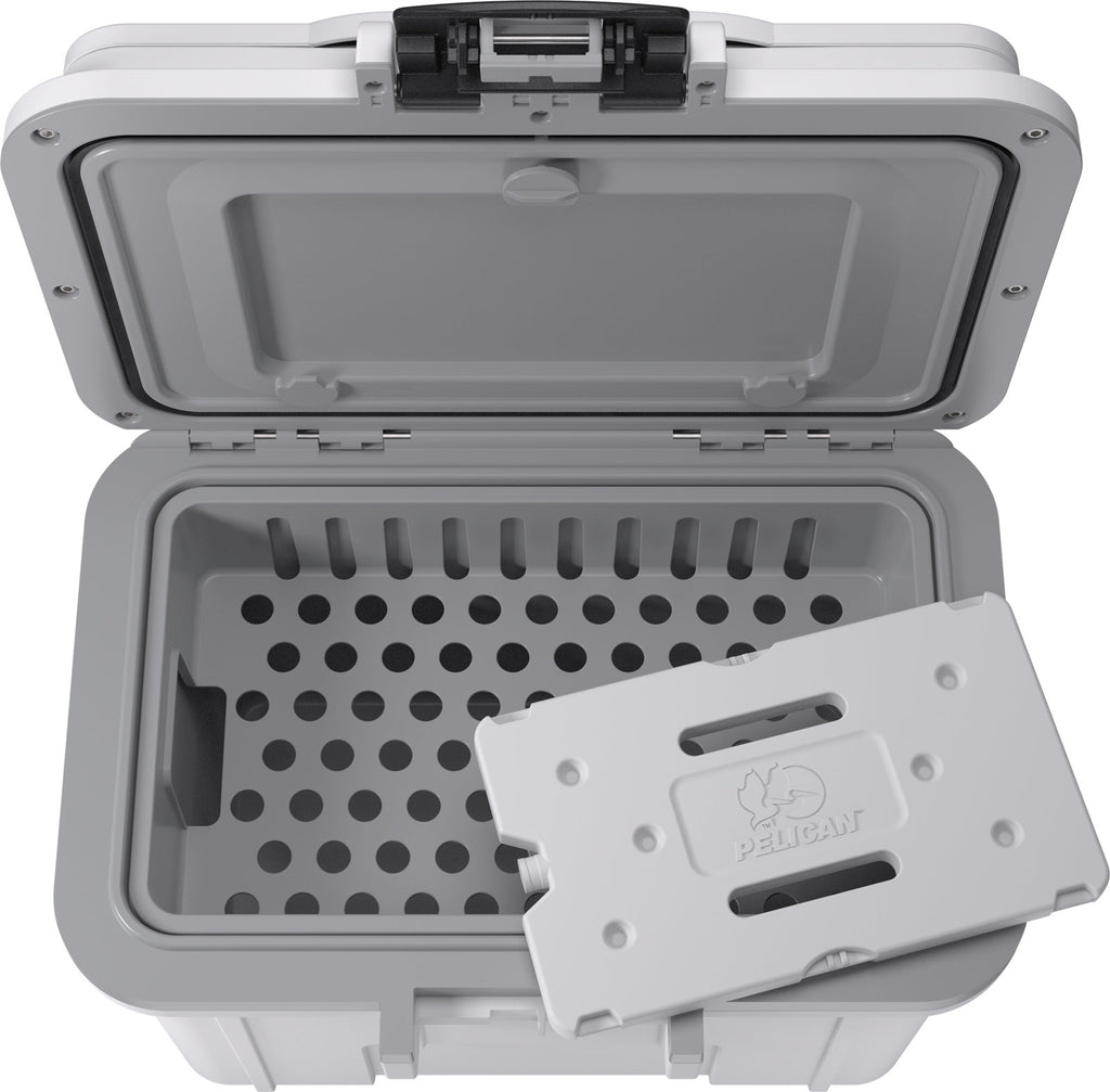 8QT Personal Cooler  - WHTGRY