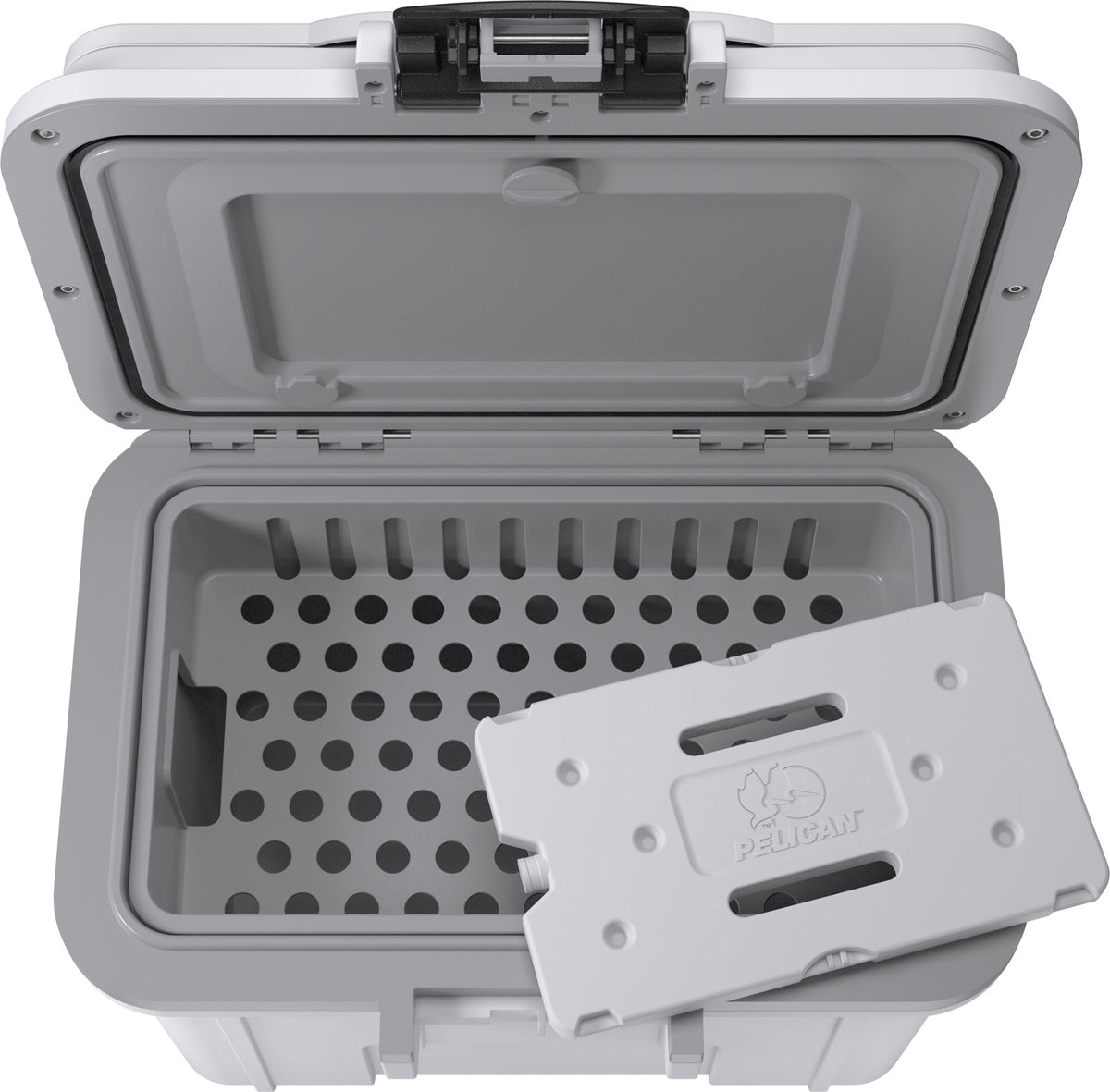8QT Personal Cooler  - WHTGRY