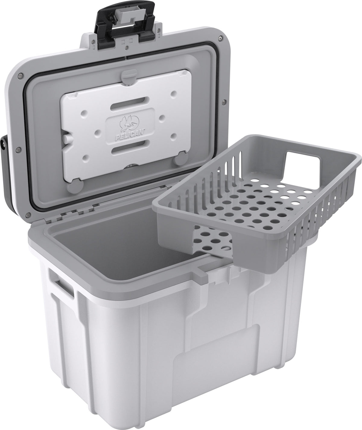 8QT Personal Cooler  - WHTGRY